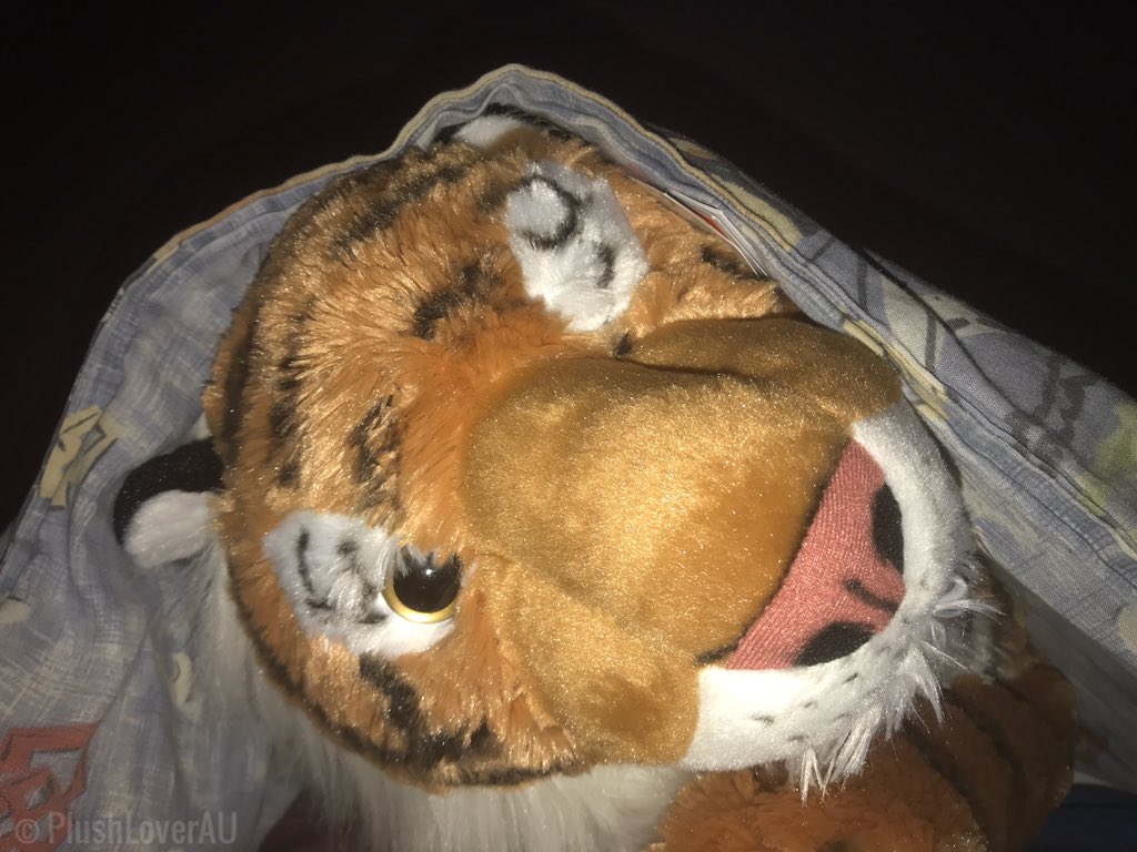 Wrap around with my blanket snuggling with my tiger crawling in bed 🥰
fav.me/dd9nxta

#tigerplush #wildrepublic #cuddlekins  #tiger #plushie #plush #plushlover #stuffedanimal #stuffedtiger #plushloverAU #sexy #sexytiger #plushophilia #plushophile #cuddlytiger #tigerlove