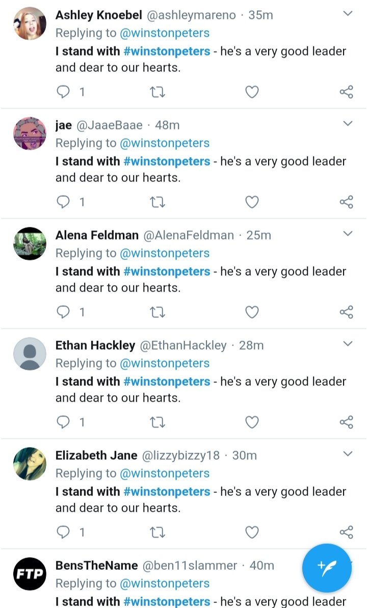 FrankMcRae's tweet photo. Just a few authentic NZ First supporters expressing support for their party https://t.co/fHPn27hNWS