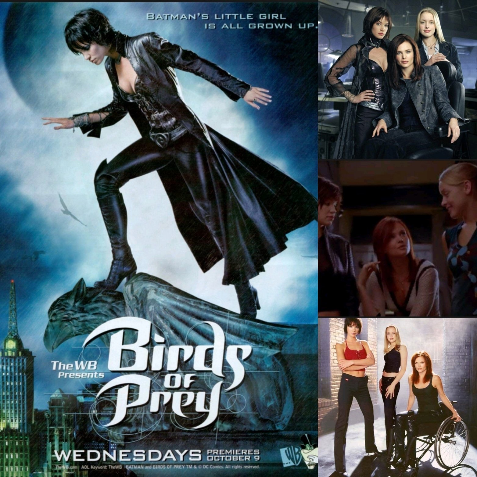 Dina Meyer Birds Of Prey