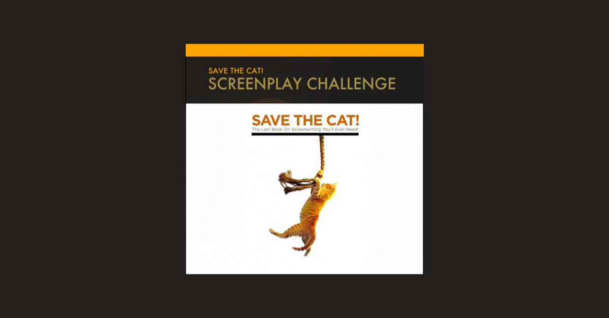 save the cat screenplay save the cat screenplay