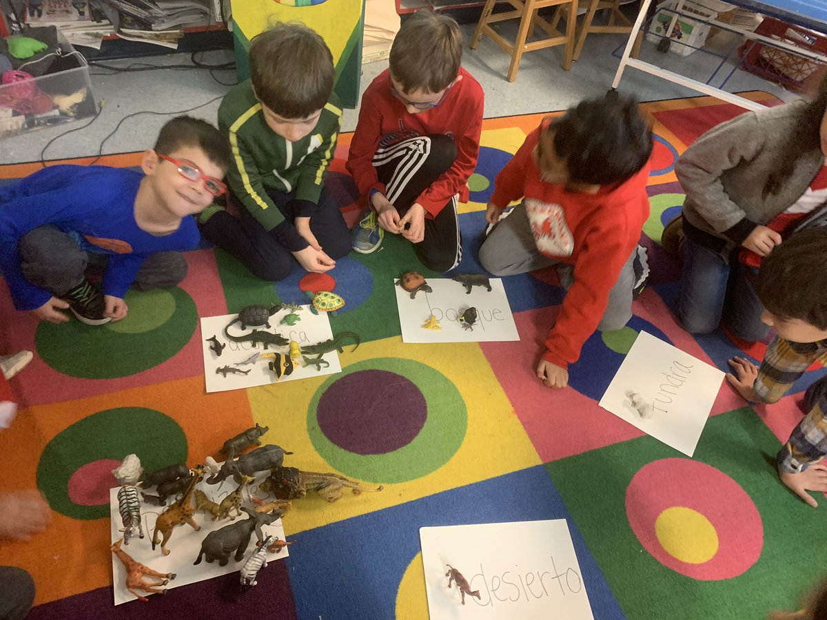 cutelisart's tweet image. Sorting animals into their respective habitats. Ending our habitats collages next week! @cis_aps @fundmustakis @APSArts #scienceconnection #workthatmatters
