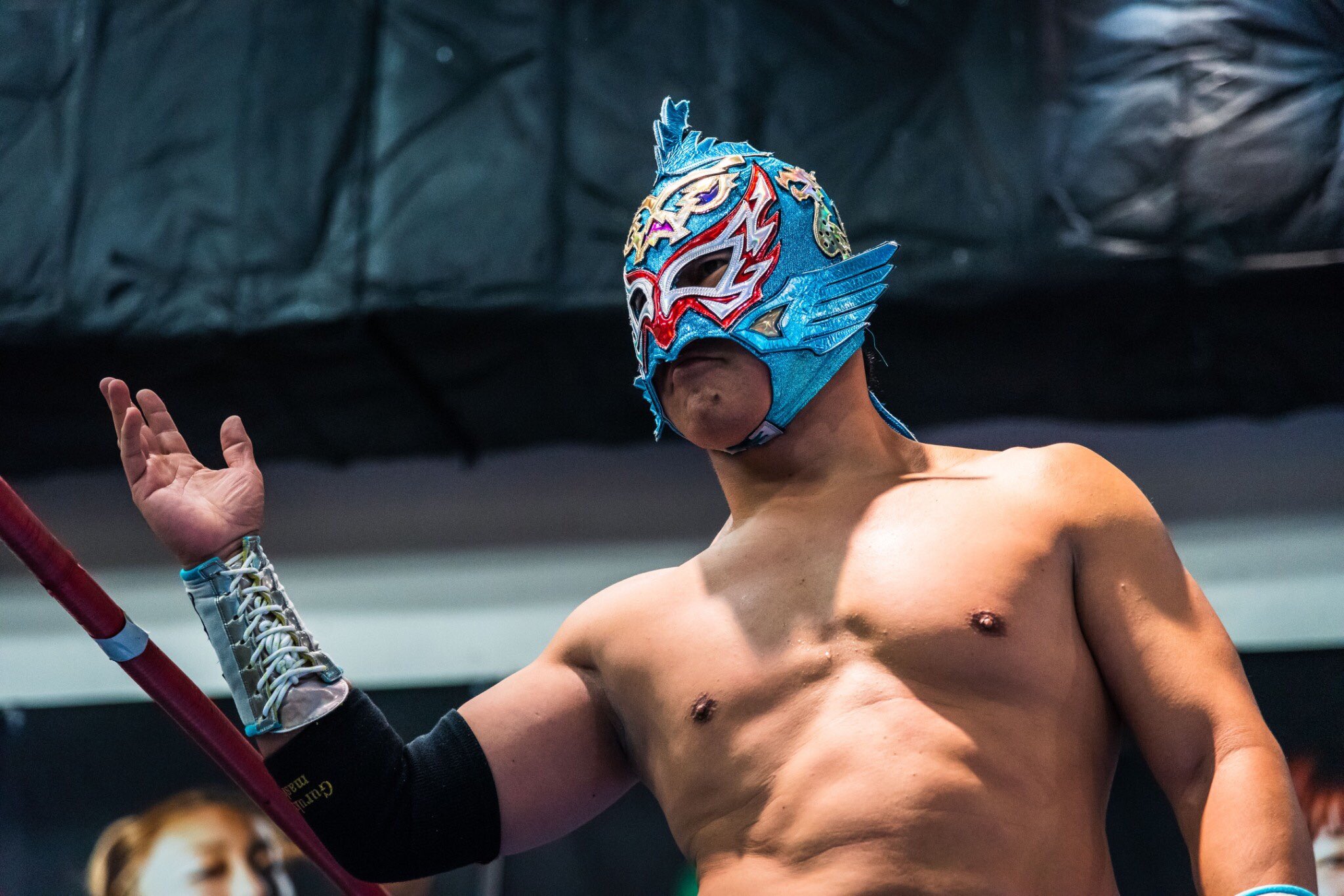 グルクンマスク Gurukunmask 琉球ドラゴンプロレス のプロレス教室は毎週水曜日 小学生は18 00 中学生以上は19 30からネーブルカデナ3階カデナアリーナ 今週のコーチは私グルクンマスクです 一日体験もやってますよー 参加希望の方はリプライか グルクンマスク Gurukunmask 琉球ドラゴンプロレス のプロレス教室は毎週水曜日 小学生は18 00 中学生以上は19 30からネーブルカデナ3階カデナアリーナ 今週のコーチは私グルクンマスクです 一日体験もやってますよー 参加希望の方はリプライか