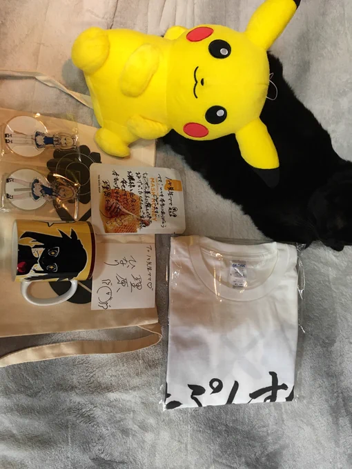 ひなりちゃんからグッズ届いた!メッセージ付きで嬉しい…!謎のピカチュウも一緒に梱包されてきた!ありがとうー! 