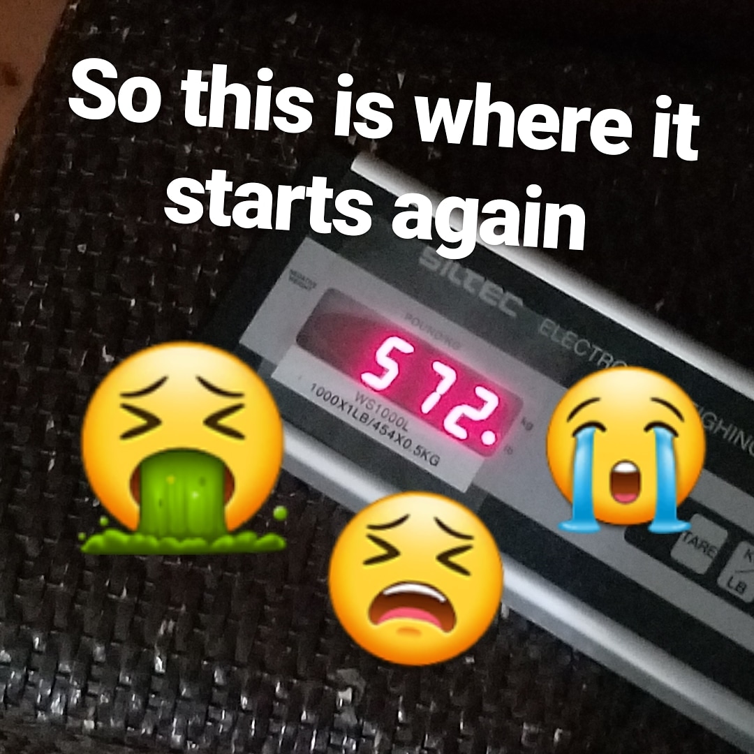 dietofamadman's tweet photo. I forgot to post my weighin from a couple of days ago, this is where I'm starting over again. Totally sucks but I been sticking with it so far, doing a real fast day tomorrow hope it goes smoothly. #52diet #fastday #fastdiet #intermittentfasting #keto #lowcarbdiet https://t.co/DJWMOAuBAM