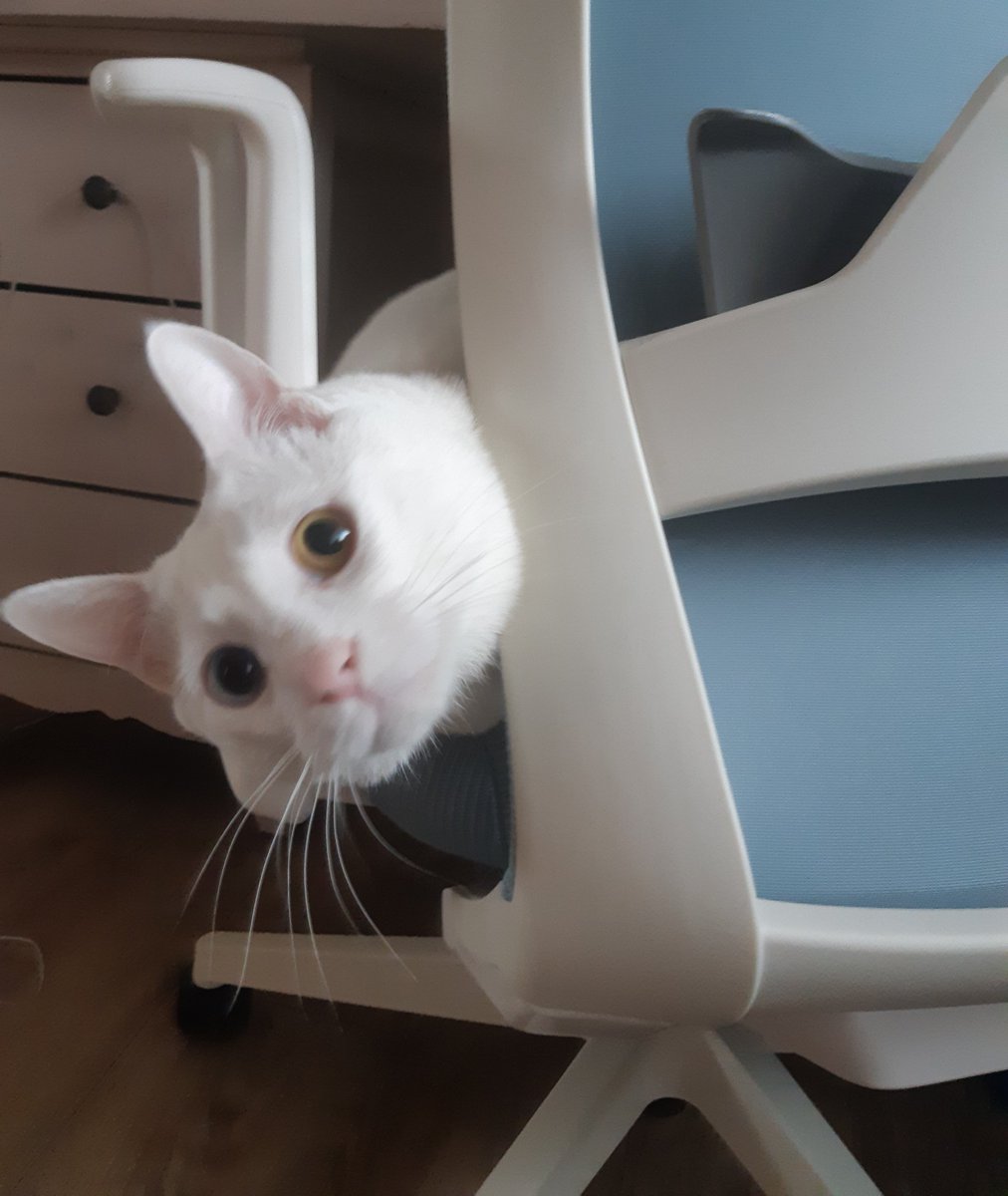 오랜만에 업로드! 빼꼼 땅콩❤❤🥜🥜