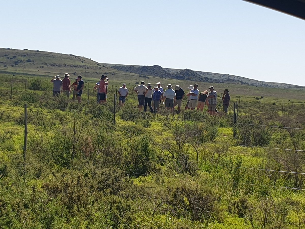 Johann Strauss tweet media