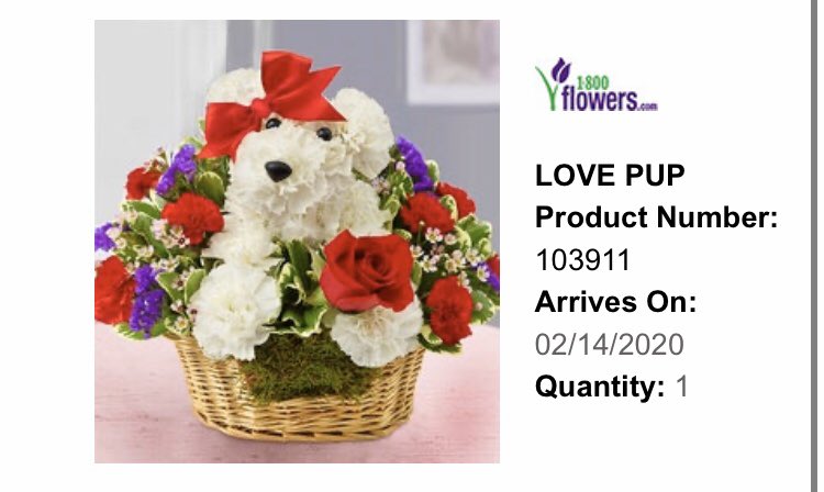 g_bizzz's tweet photo. What the fuck is this @1800flowers you tryna get me dumped on Valentine’s Day? https://t.co/NwUf4QBeWz