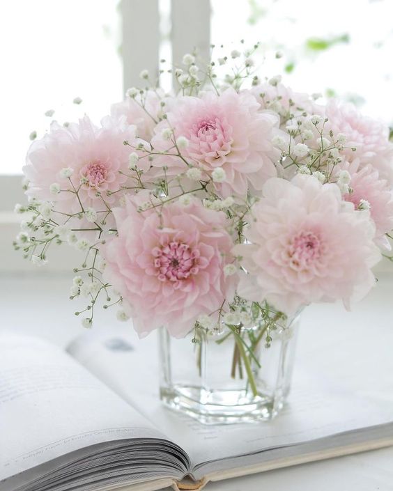 #Pink #Flowers #flower