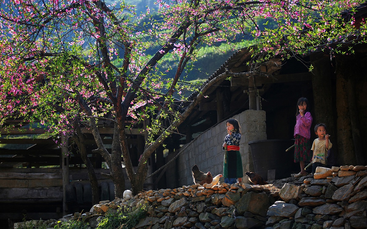 coco_vietnam's tweet photo. #HaGiang #Vietnam https://t.co/MxJzEMgtiQ