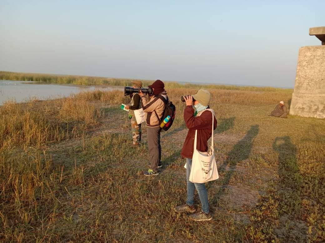 Bird census: Highest ever 3.15 lakh birds in Nal Sarovar, 57,000 in Thol, 5.50 lakh Flamingos in Rann of Kutch