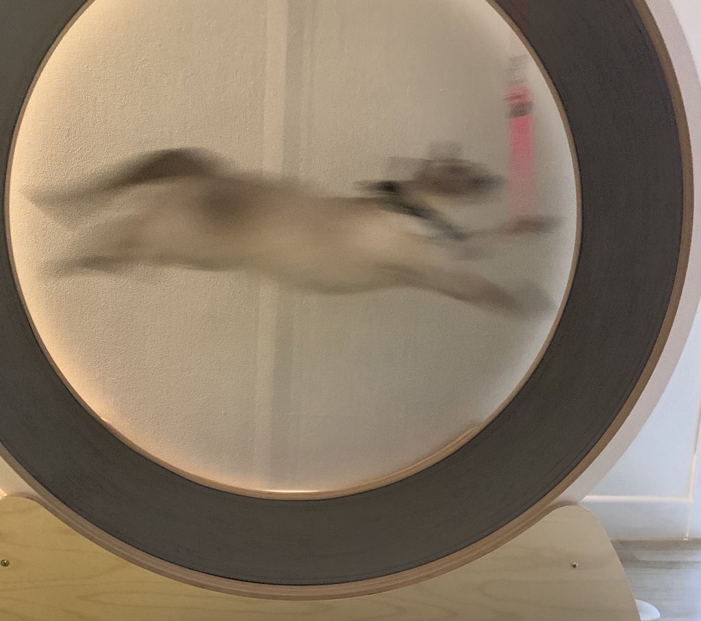 ㅇ ㅏ ㅋㅋㅋ ㅋㅋㅋㅋㅋㅋ ㅋㅋㅋㅋㅋㅋㅋㅋㅋㅋㅋㅋㅋㅋㅋㅋㅋㅋㅋ ㅜㅡ ㅋㅋㅋㅋㅋㅋ
ㅋㅋㅋㅋㅋㅋㅋㅋㅋㅋㅋㅋㅋㅋㅋㅋㅋ(울고잇음)