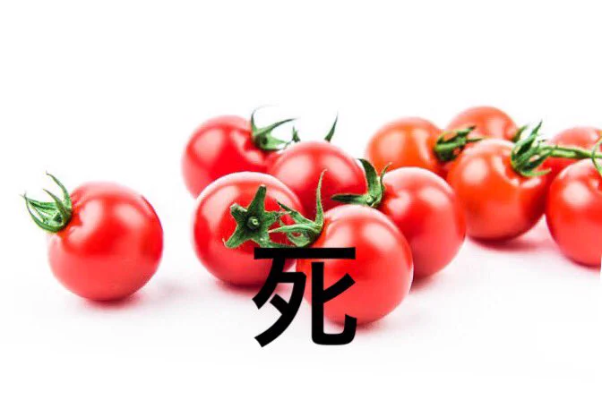 生じゃなければいける？トマト嫌いの許容範囲がこれwww