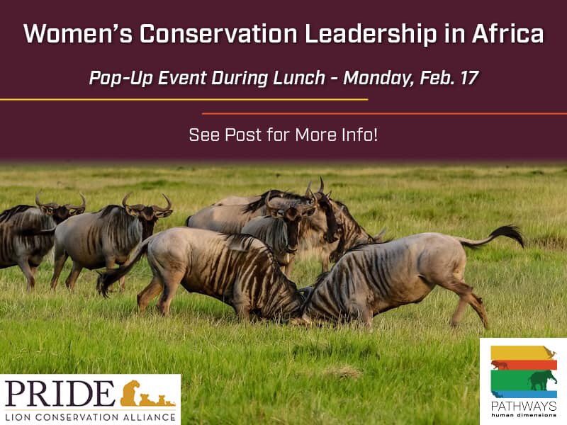 This Monday 17th Feb will be amazing 🙏🏽👏🏾🥳 I shall be part of this amazing All women panel #WomenInConservation #PathwaysAfricaConference2020 sites.warnercnr.colostate.edu/pathways-afric…