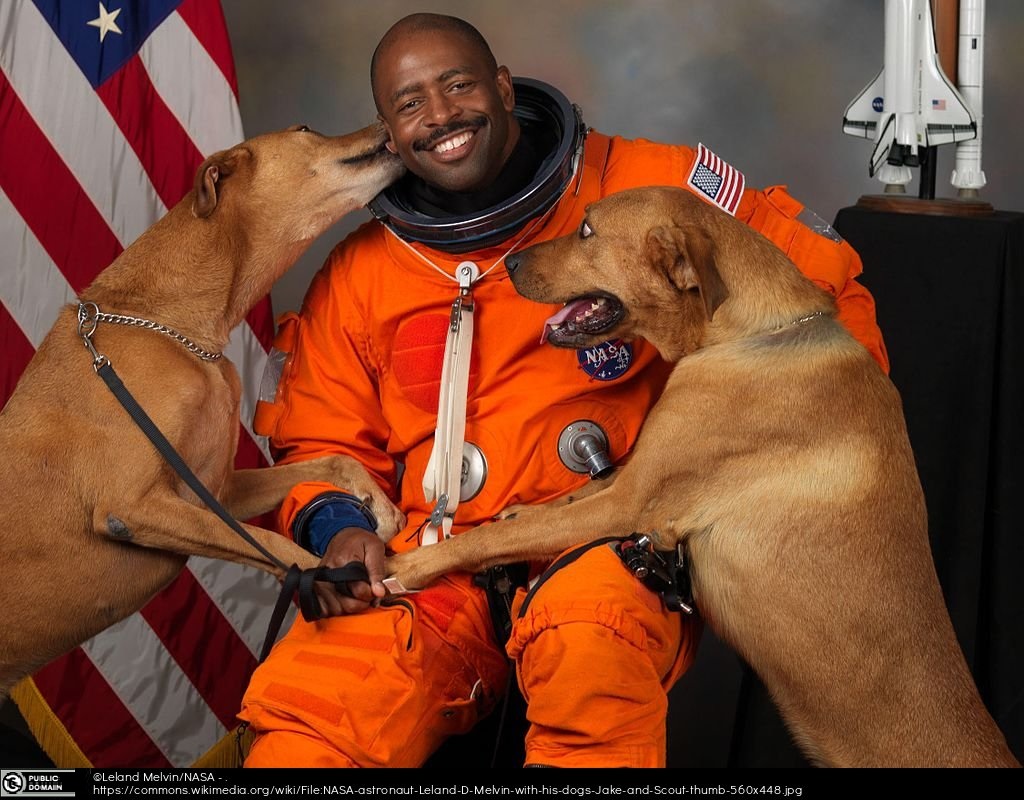 Happy Birthday to Leland Melvin (<a href="/Astro_Flow/">Leland Melvin</a>), American engineer and astronaut who became NASA Associate Administrator for Education in 2010 🎂🚀✨
#OTD #OnThisDay #DiversityandInclusion #BlackAndSTEM