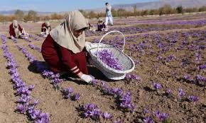 Sangeen111's tweet photo. د سرپل ولایت یوشمیر سوداګر وايي چې موږ باید د هیوادوالو د اقتصادي پیاوړتیا په موخه له خپلو کورنیو تولیداتو څخه ګټه واخلو. 
 #WeAreAfghanistan https://t.co/coHxvmojeo