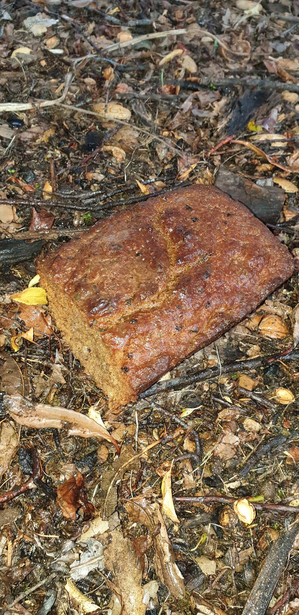 Spongy67's tweet image. Someone left the cake out in the rain
I don't think that I can take it 
Cause it took so long to bake it and I'll never have that recipe again 
Oh, no
#worstsongever 😂