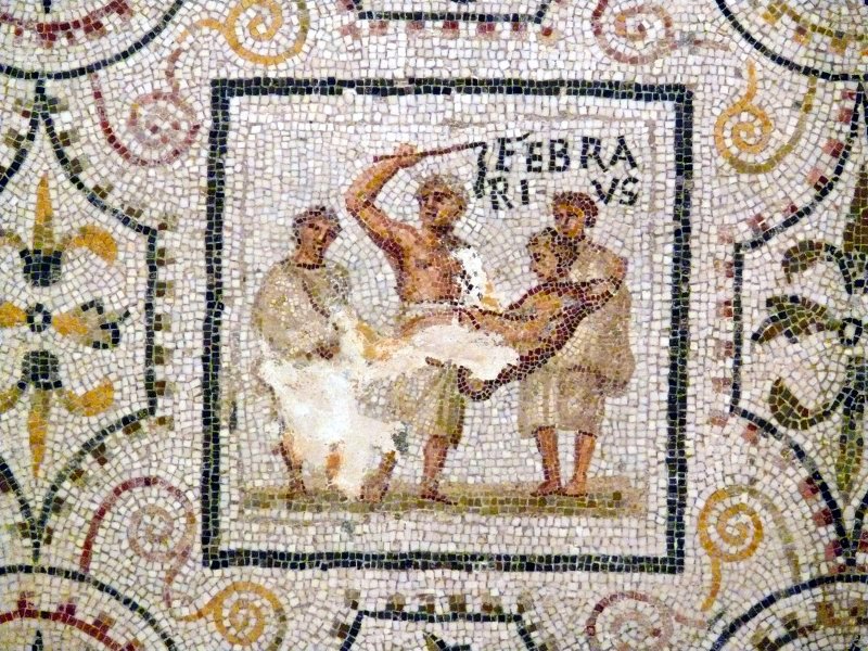 Happy Lupercalia! The origins of the ancient pastoral festival are shadowy even to Romans but on this day we observe ancient rites of fertility, health and purification. The goatskin whips or "februa" used in today's fertility rituals lend the second month its name... #LiveIdes