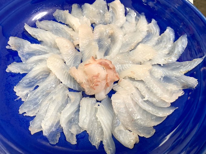 マトウダイのtwitterイラスト検索結果