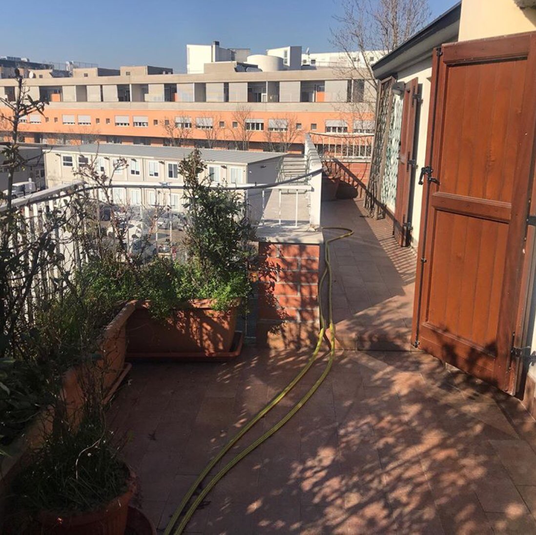 MAZZI CASE tweet media