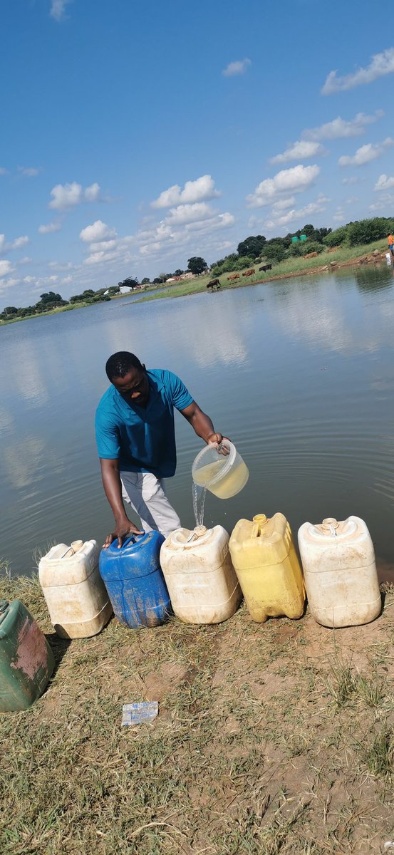 AphaneMagasa's tweet photo. @LindiweSisuluSA Minister you should also make a turn in Bela-Bela Kwa-Litho we're sharing water with livestock here https://t.co/Nqi3Rru6KV