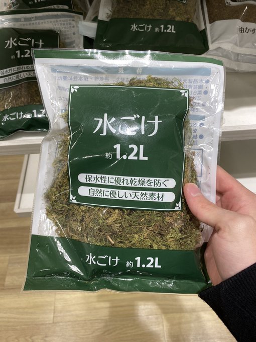 22 100均ダイソー セリアで買える苔玉 使い方や作り方も Belcy