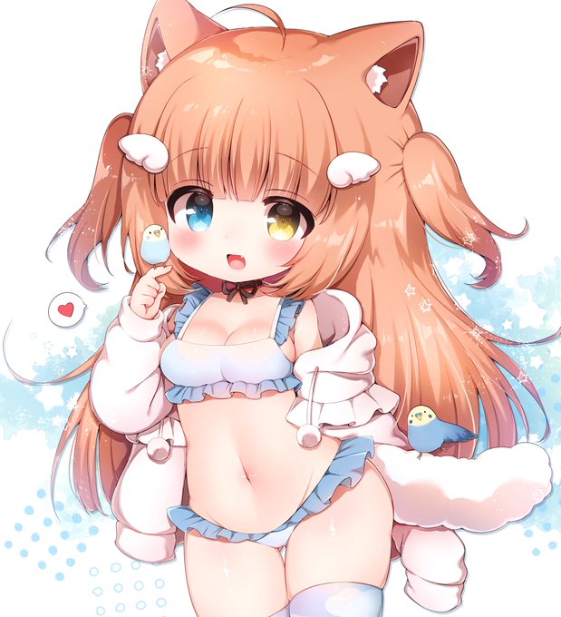 こまこちゃん🐦 #うちの子 