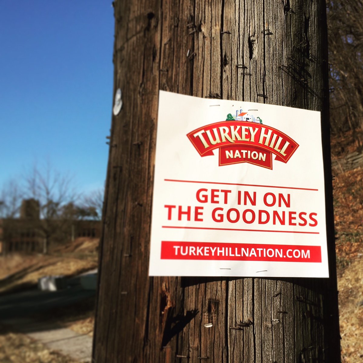 TurkeyHillDairy's tweet photo. We’re looking for #TurkeyHillDairy fans that want exclusive access to all things Turkey Hill. Become a #THNation member today: https://t.co/Ct9aCSxqBr. https://t.co/8Cn5fIn14N