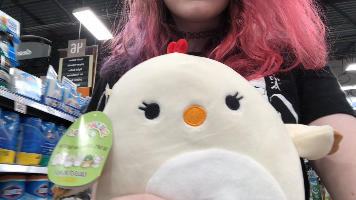 //I FOUND A CHICKEN PLUSHIE IN KROGER!!