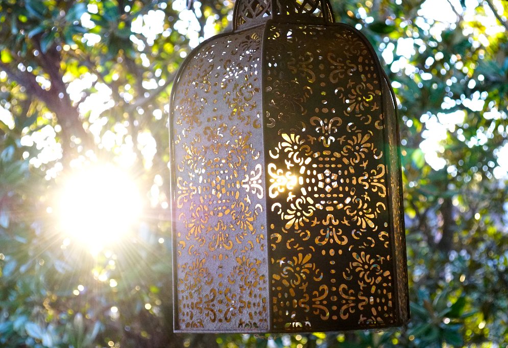 hotelmosman's tweet photo. It’s not all about drinks &amp; food - with a modern decor inside and outside we created an atmosphere at The Duck you can truly enjoy.

Book your next function with us! 📅

📩 info@hotelmosman.com.au https://t.co/qP1i2y9JaF