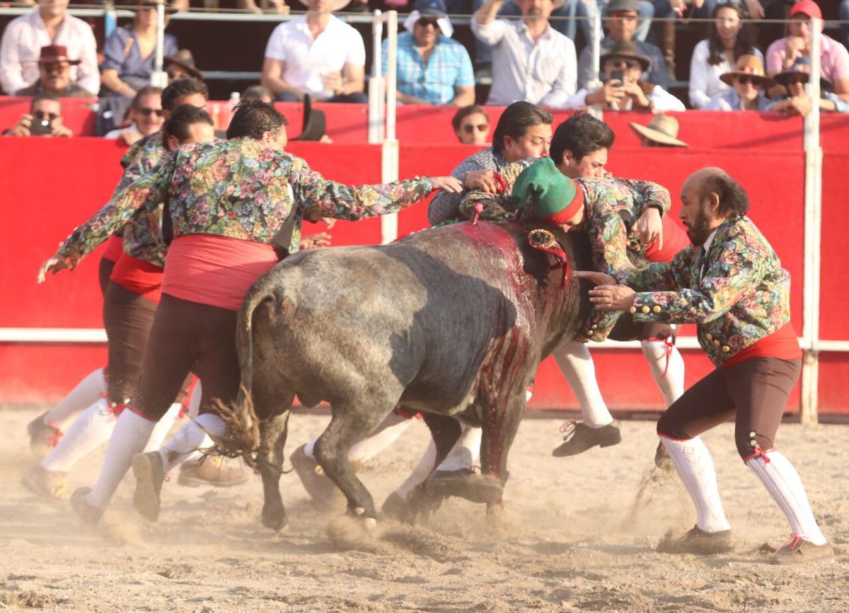 Luis Pimentel | 5to. Festejo Taurino Ecuestre 
al tercio tras aviso con un toro de Juan Huerta