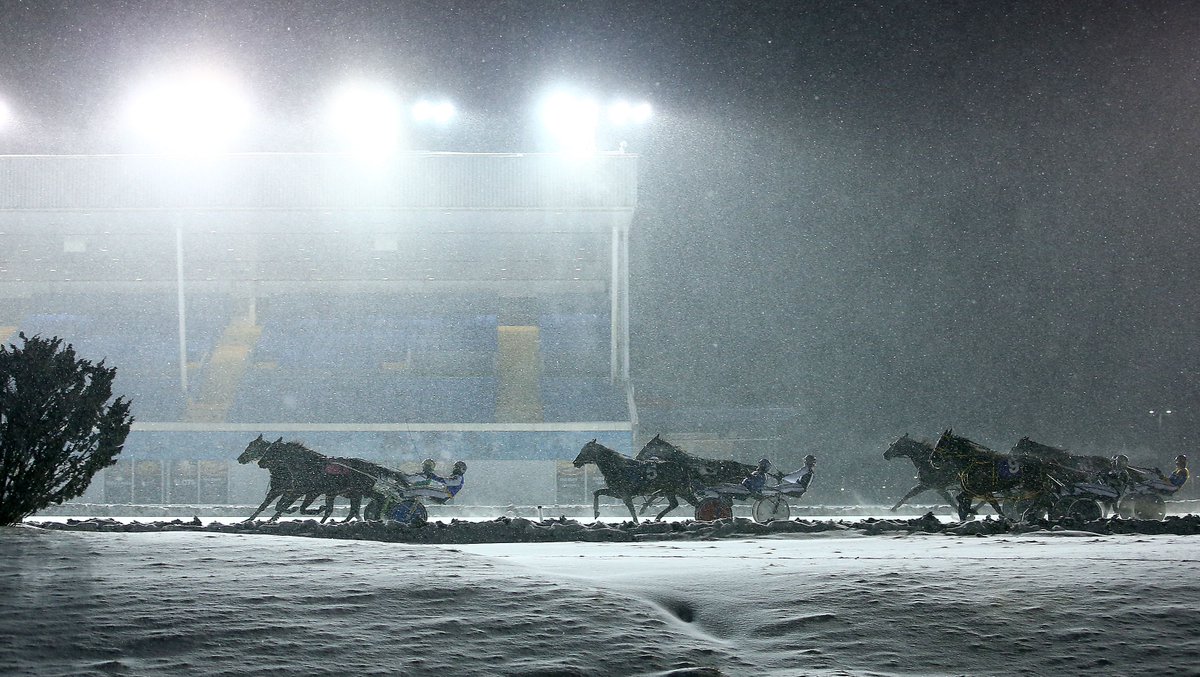 Woodbine Snow-hawk Park. #BetWoodbineSB (<a href="/woodbinephotos/">Woodbine Photos</a> photo)