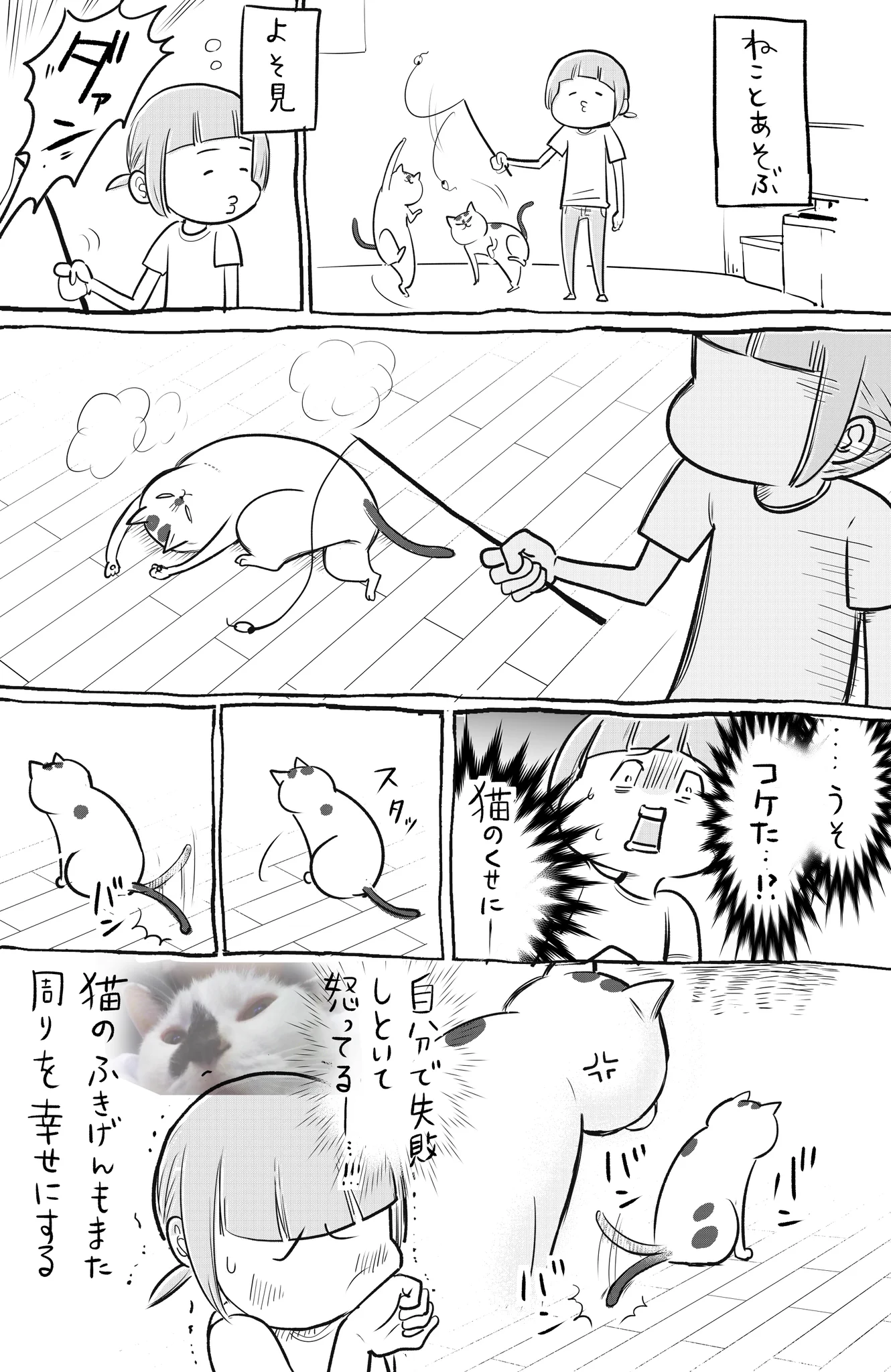 猫も犬も毎日楽しい！不機嫌猫とご機嫌犬のお話