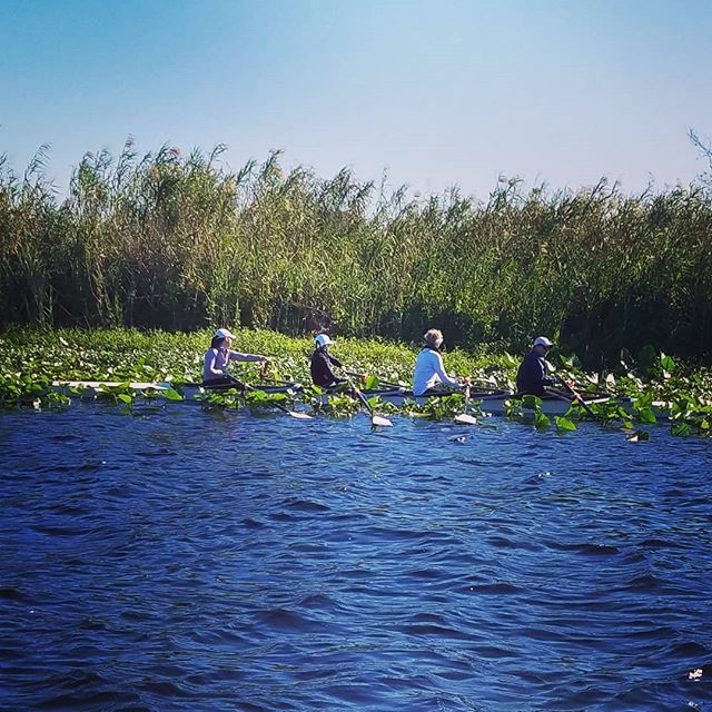 Going Native! Jungle Row! #messingaboutinboats #lifeisgood #exploreflorida #gooutside #getinaboat #this_dosent_suck #rowing #coachlife #swiftrowingracing #florida #nosnowhere #explore