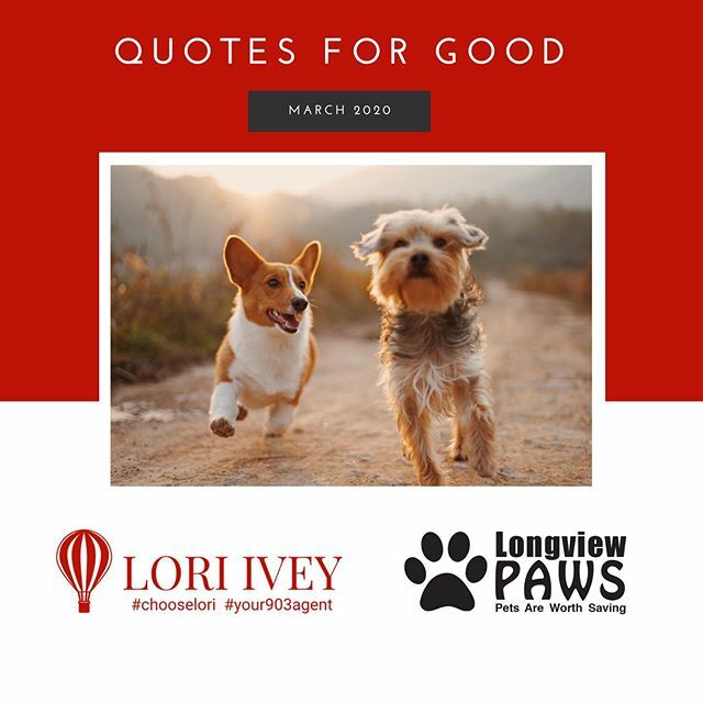 loriivey's tweet photo. We’ve got big plans in March! We’ve partnered with @longviewanimals for the entire month to help raise awareness and funds! For every quote in our office this month that mentions Longview PAWS, our office will donate $10! #quotesforgood #statefarmfresh #… https://t.co/XLtPEy4eFK https://t.co/gleUtA0WEd