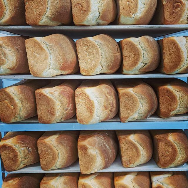 rozbaked's tweet photo. @dadsluncheonette  #coastside #highway1 #bread https://t.co/mNJOeXLhjW https://t.co/dVYcc7UhYR