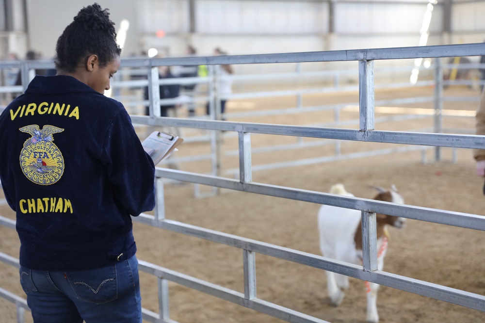 VTCals's tweet photo. The #VT Block &amp; Bridle Club is hosting stockman's and livestock judging contests for almost 1300 VA, TN, PA, and WV @4H and #FFA youth. 💙💛🍀 Competitors were most excited about making new friends and hanging out with @virginia_tech livestock. 
#vtapsc @Virginia4H @VirginiaFFA https://t.co/z4KtNqPqNH