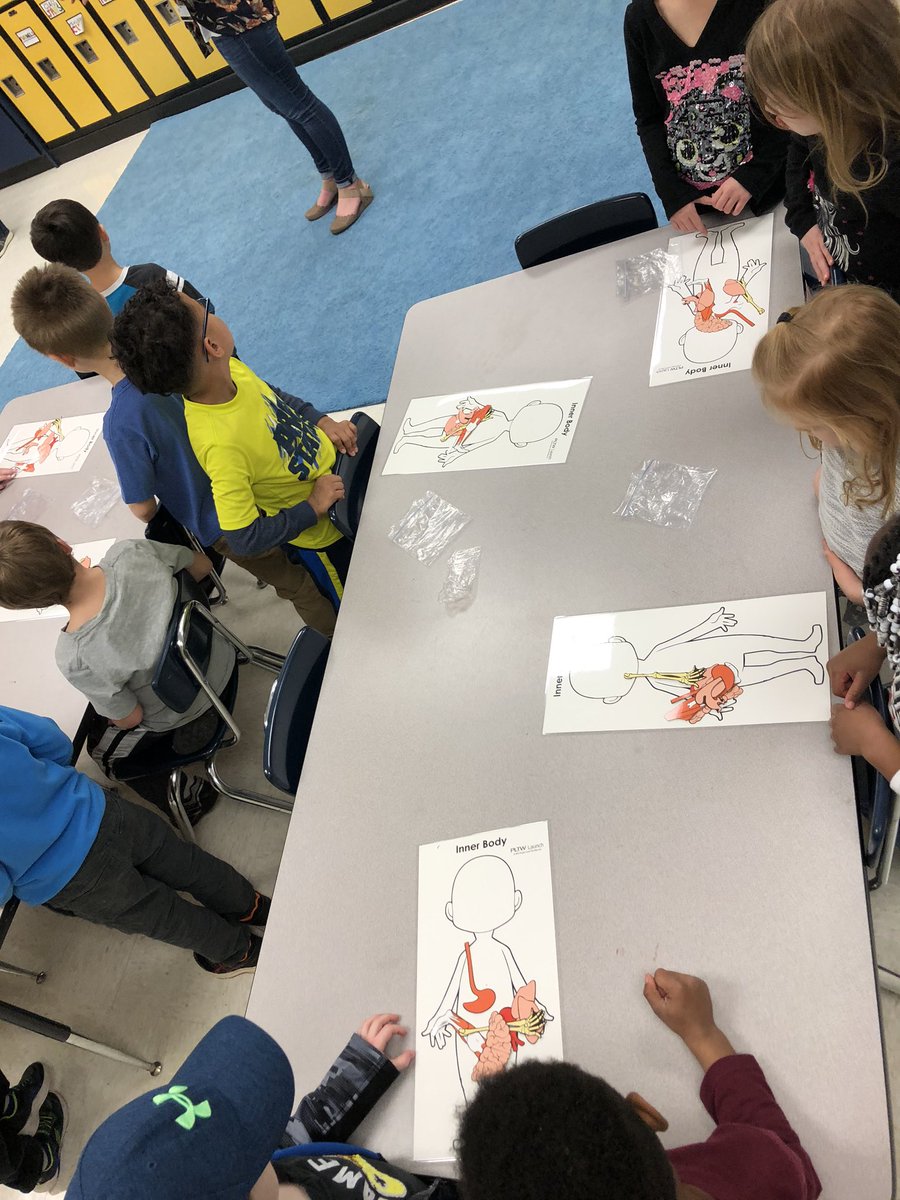 Fun Friday with PLTW! We had so much fun with @MCSSPLTWJessica and Mrs. Goodwin’s class learning about the structure and function of the human body!