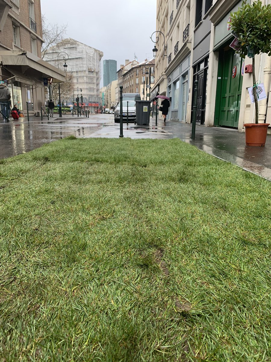 Végétalisation de #Puteaux : retour sur une action pas comme les autres du Printemps Putéolien avec Francis Poézévara ! printempsputeolien.com/2020/02/29/le-…