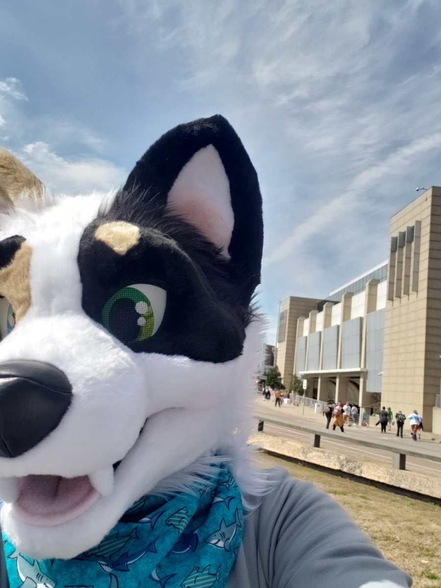 Tex_Shep's tweet photo. #TFF2020 Get outside the weather is great! https://t.co/XvGAbpcmSb