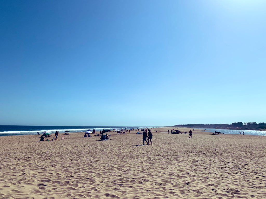 panchovirasoro's tweet image. 🌊 ☀️ #endlesssummervibes