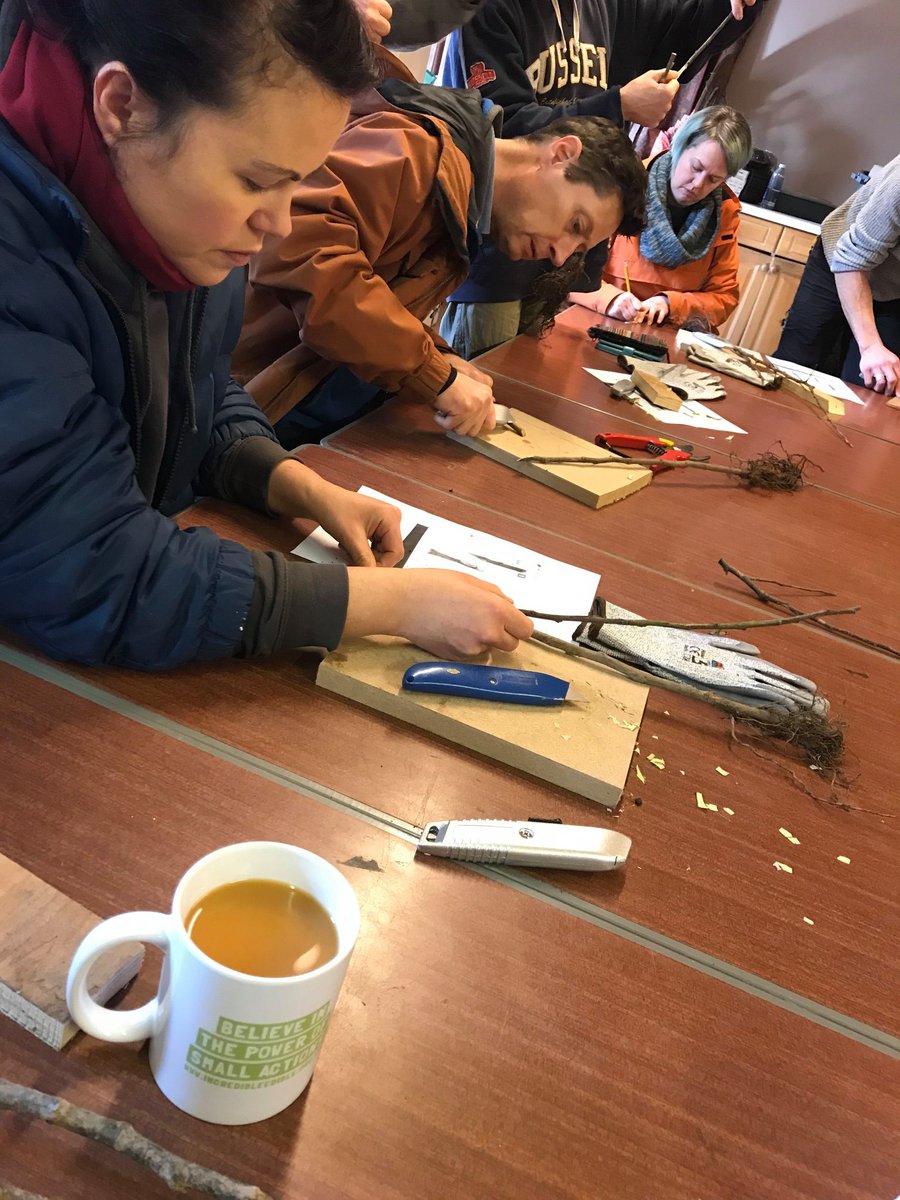 Incredible Edible Prestwich & District tweet media