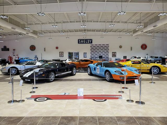 larrytbeach's tweet photo. I just want 1!
.
.
.
.
#gt500kr #gt500 #ford #fordperformance #mustang  #shelby #gt-h #thunderbird #turbocoupe #fordGT #raptor #svt #roush #CS-8 #lightning #LoveFL #Orlando #roushperformance #gt350 #gt350r #mach1 #cobra #marauder #cobrajet  #goingtohell … https://t.co/5PD2FGU1cz https://t.co/rkc5gzziqe