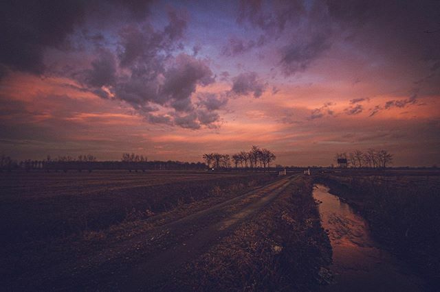 Filippo_Fossati's tweet photo. #atlnovara #nuvole #novara #igersnovara #igerspiemonte #ig_piemonte #sozzago #countryside #volgopiemonte #travelgram #welcometopiemonte #illgrammers #loves_united_piemonte #sombrescapes #volgonovara #thehub_piemonte #alluring_earthscapes #alluring_novara… https://t.co/OWiTvWCgtH https://t.co/2BRkilLFCL