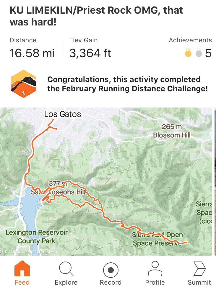 Teresa Codemo tweet media