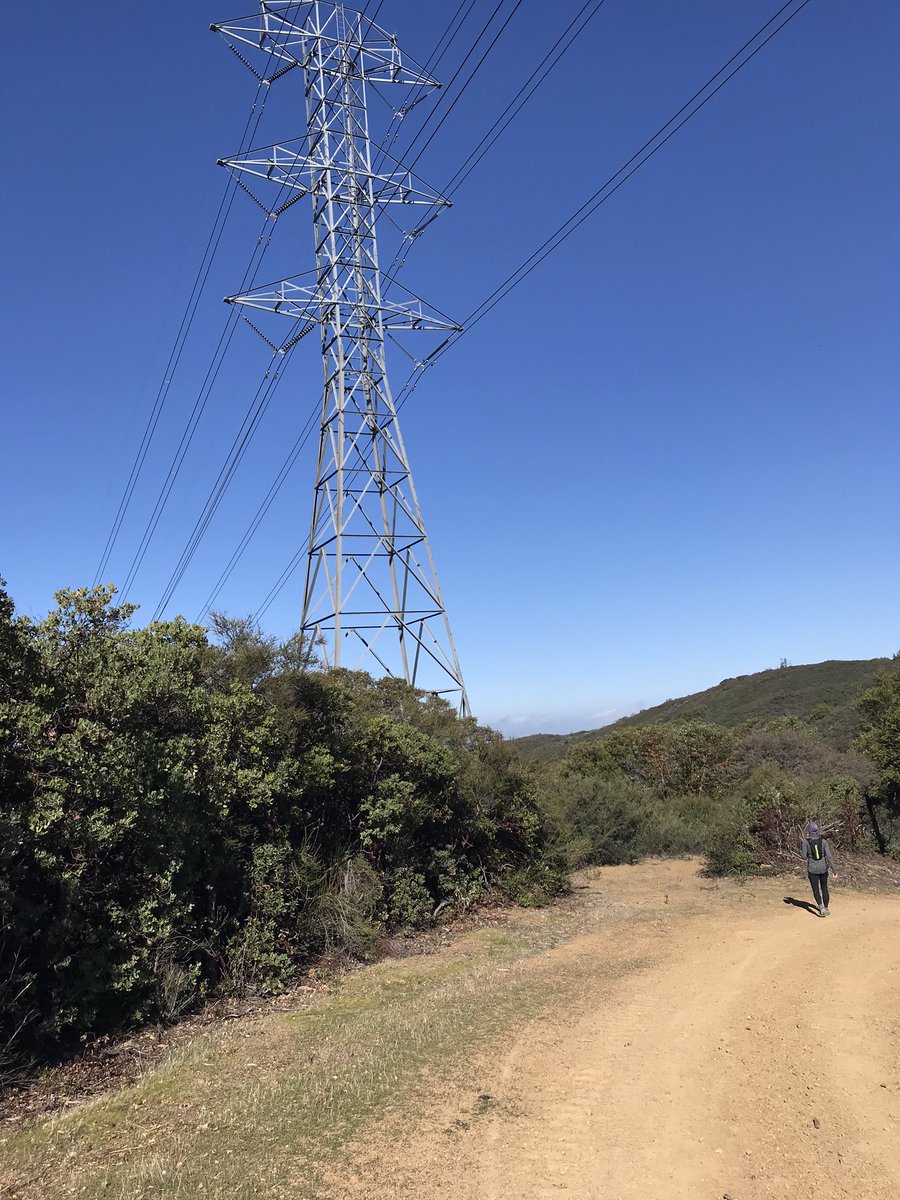 Teresa Codemo tweet media