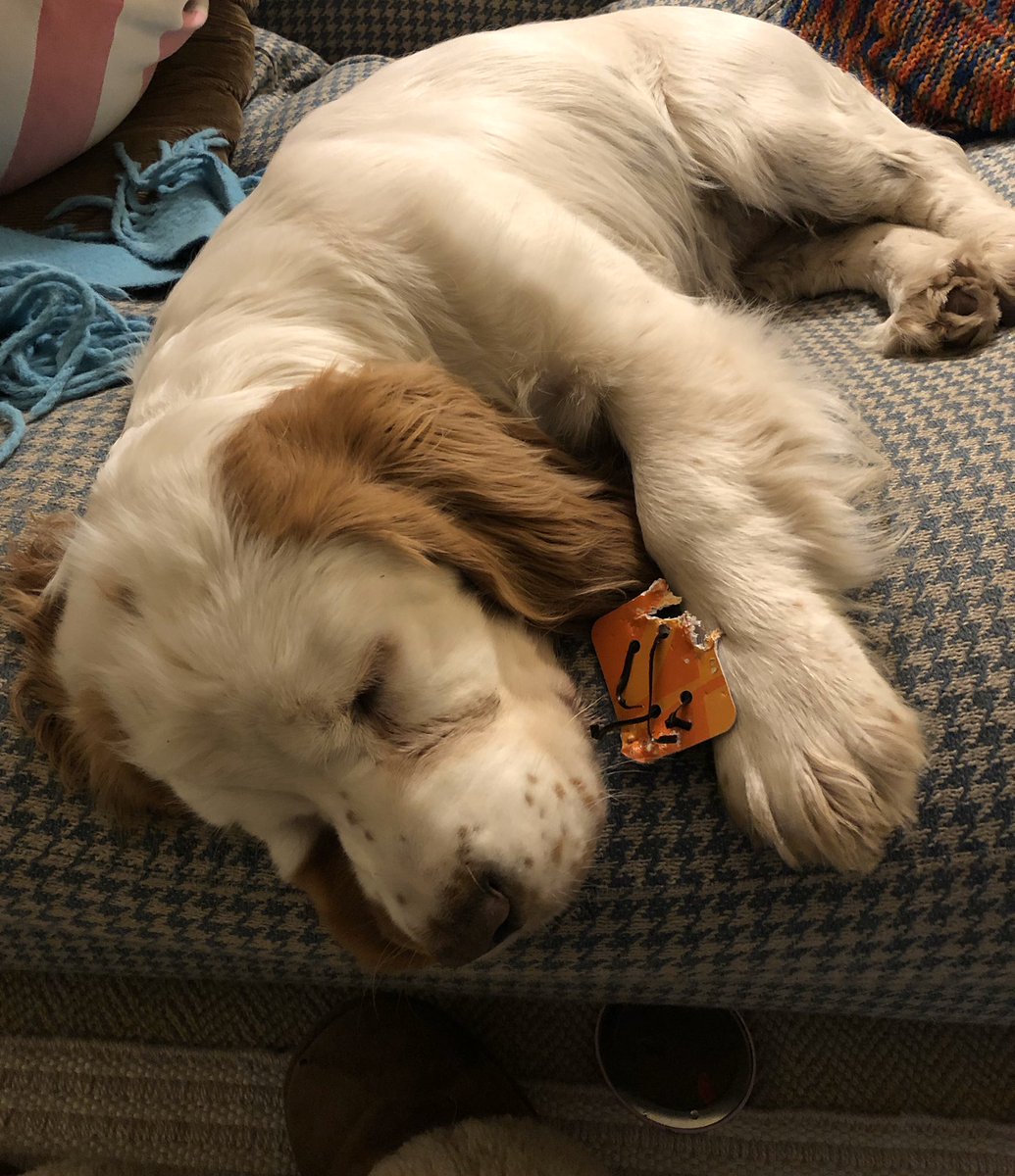 Nothing like a bit of pre-race prep help from your NFI’d training partner!! 🤦‍♂️ Massively excited to be taking part tomorrow in The Big Half <a href="/OfficialBigHalf/">The Big Half</a> <a href="/GUARDHOGTech/">GUARDHOG Technologies</a>