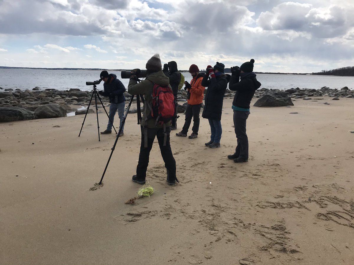 chasingSWTH's tweet photo. Still smiling from our @UMassGradSchool #birding trip this morning... Plum Island/Parker River #NWR did not disappoint. Snowy owl, northern shrike, and rough-legged hawk are just a few from our list!! Had such a blast with everyone! https://t.co/YwCfskeaCt