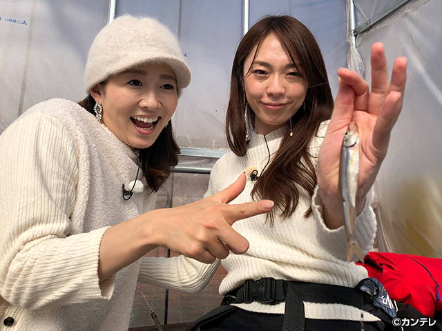 佐久田瑠美 佐久田瑠美