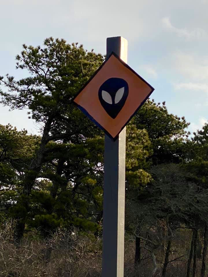 Jason Graziadei tweet media