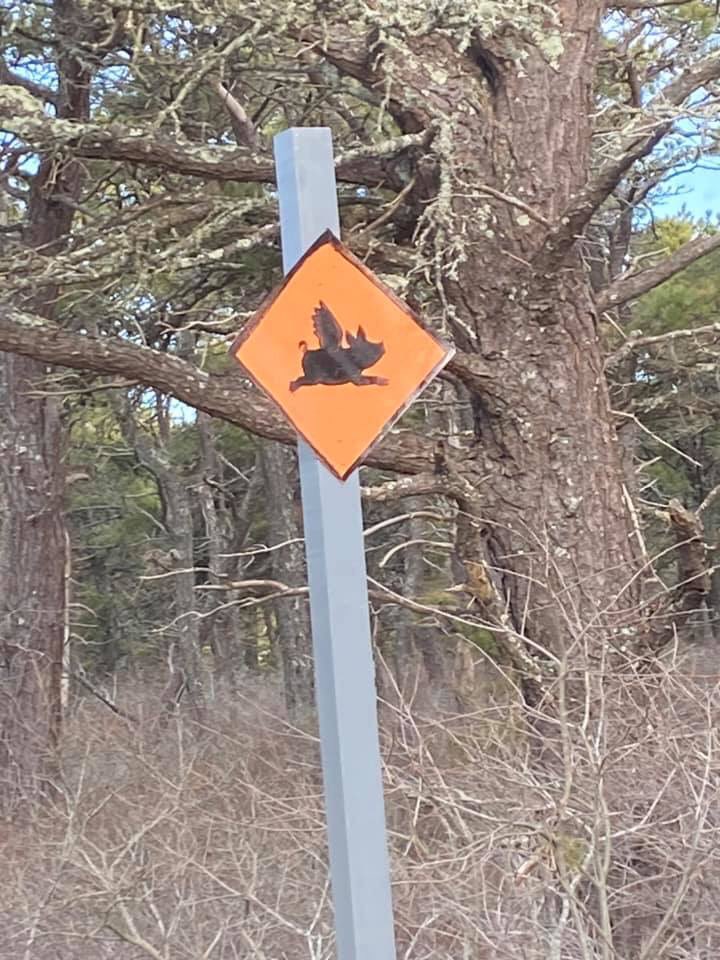 Jason Graziadei tweet media